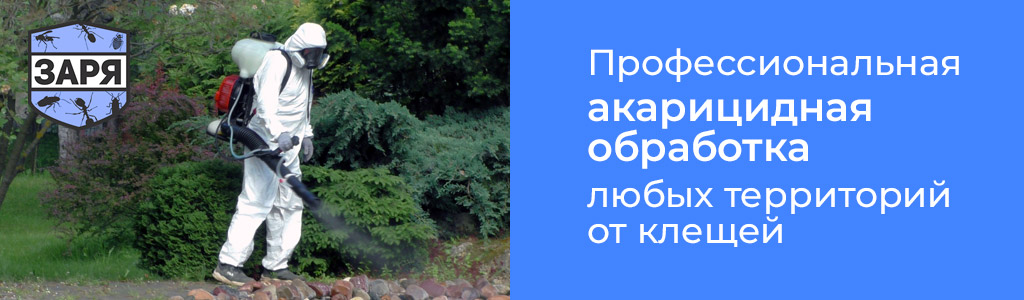 Акарицидная обработка участков