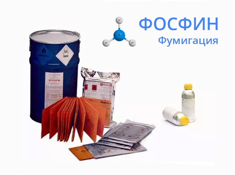 Фумигация от короедов