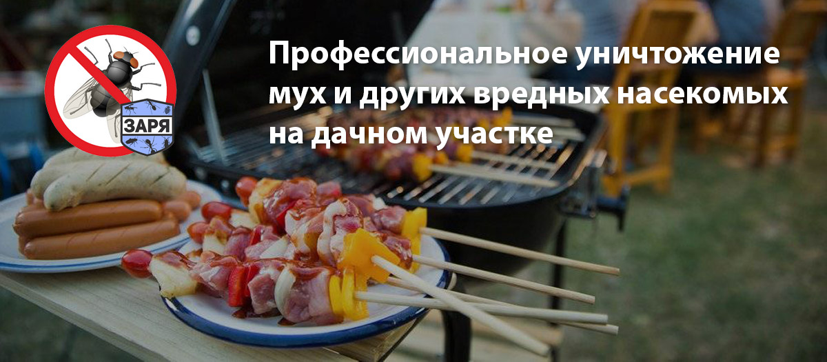 Уничтожение мух на даче