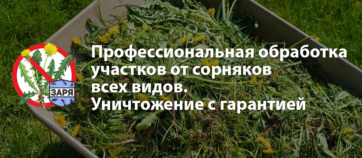 Уничтожение сорняков