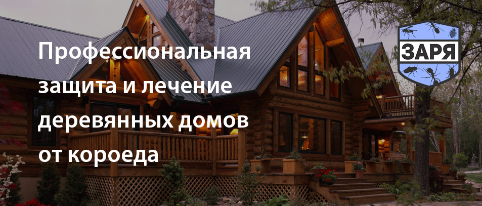 Уничтожение короедов в деревянных домах