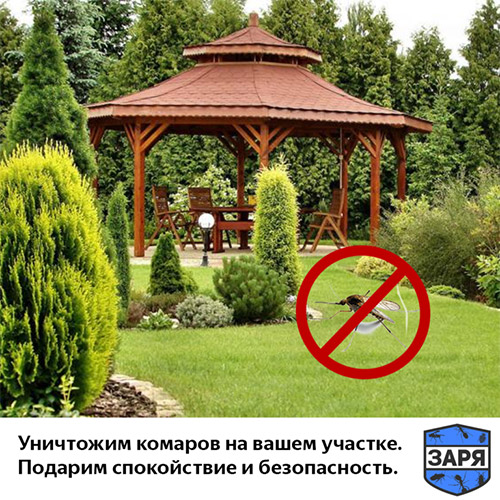 Обработка участка от комаров