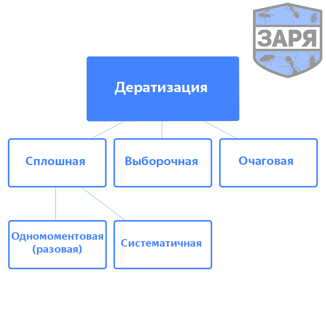 дератизация уничтожение крыс