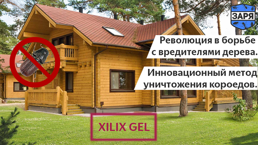 Уничтожение короеда с гарантией