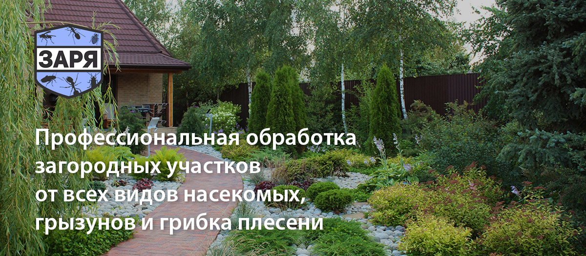 Обработка загородного участка от насекомых и грызунов