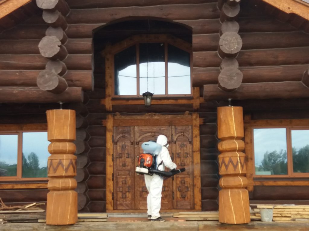Борьба с короедом в деревянном доме