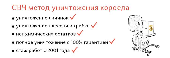 Уничтожение короеда СВЧ методом