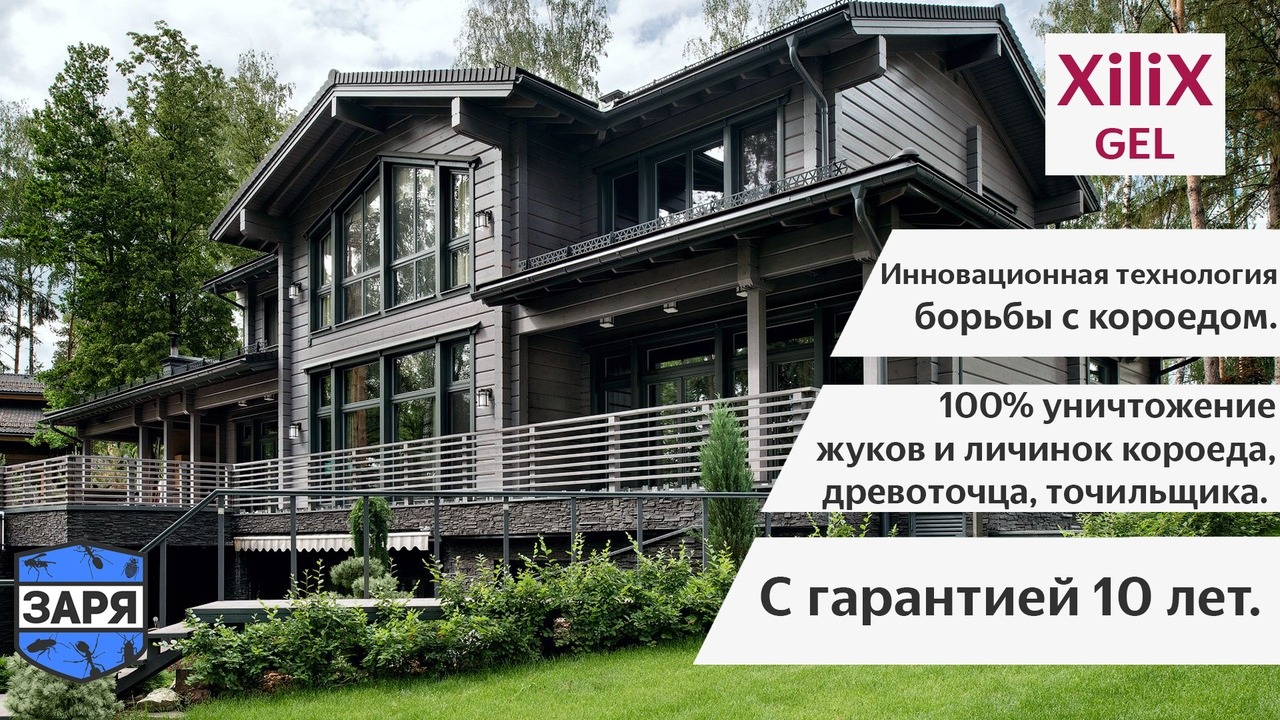 Уничтожение короеда с гарантией