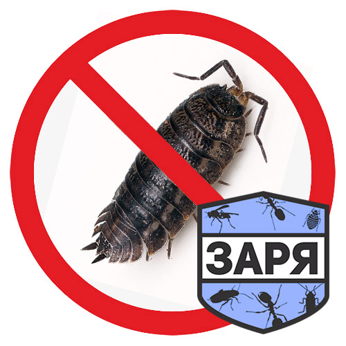 Уничтожение мокриц
