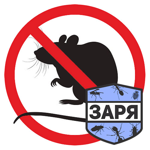 Уничтожение крыс