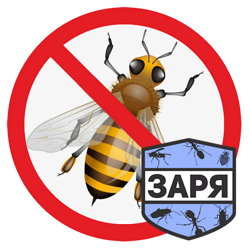 Уничтожение ос и осиных гнезд